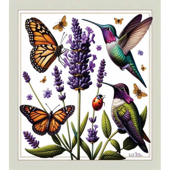 Papillons et Colibris   Lavette suédoise