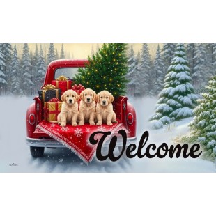 Welcome christmas puppy.
