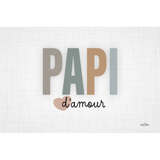  Coussin Papi d'amour