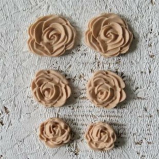 AU2019F-5 rose fimo (beige)