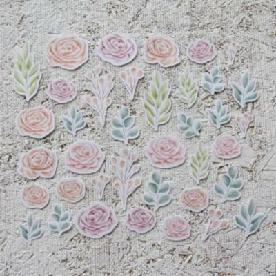 rose pastel