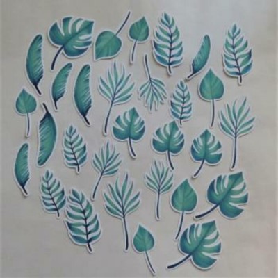 feuillage tropicale aqua