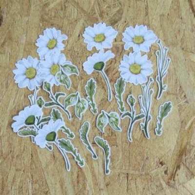 Marguerites