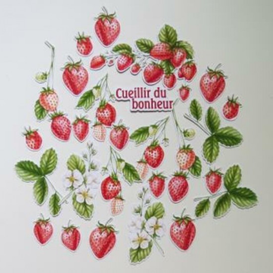 1JU24D- Découpes Fraises