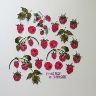 5JUD- Découpes framboises