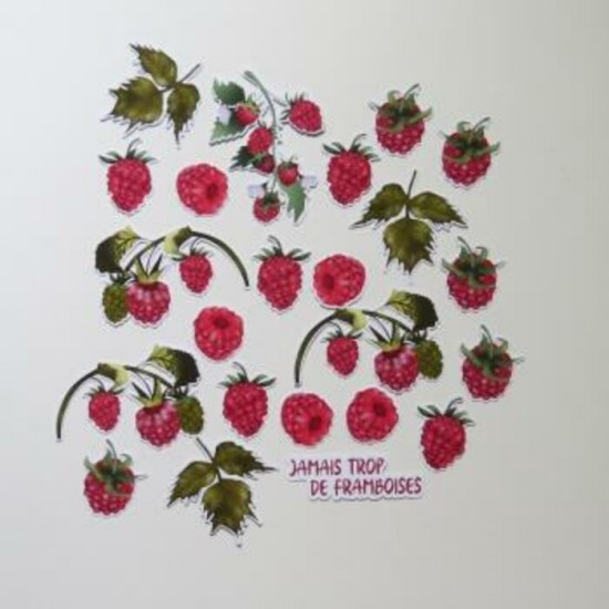 5JUD- Découpes framboises