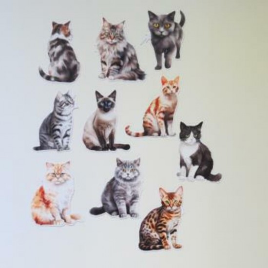 13JU24D- Découpes chats