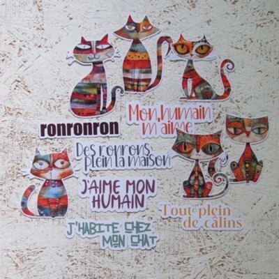 4SEPT24- Minou-minou