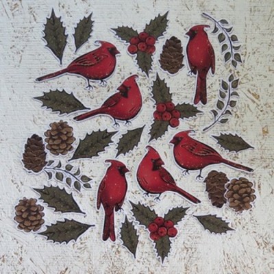 6NO24- Cardinal