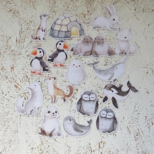 6JAN25D- Animaux polaires