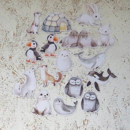 6JAN25D- Animaux polaires