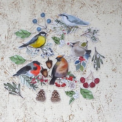 9JAN25D- oiseaux d'hiver