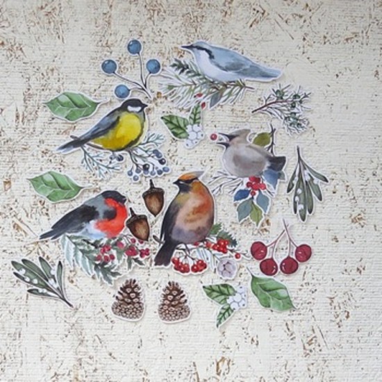 9JAN25D- oiseaux d'hiver