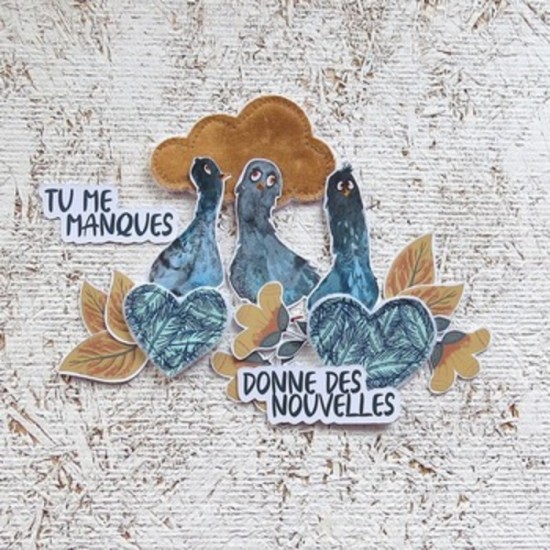 12JAN25C- Pigeons «Tu me manques»