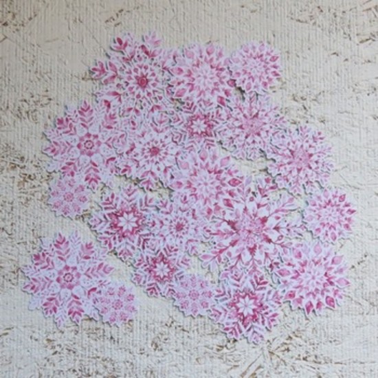 11FEV25D- Flocons roses