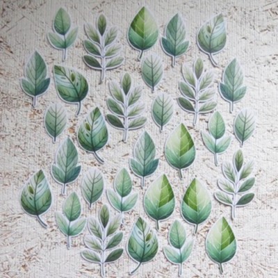 11MAR25D- Feuilles vertes