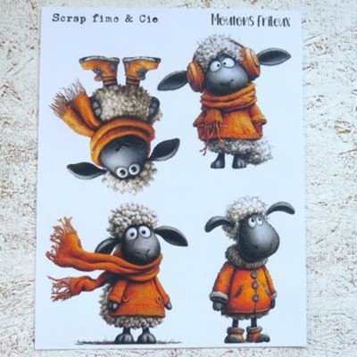 02JAN26PD- Moutons frileux