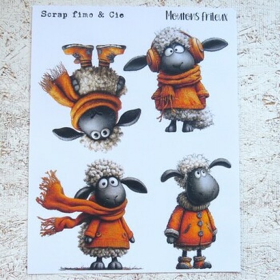 02JAN26PD- Moutons frileux