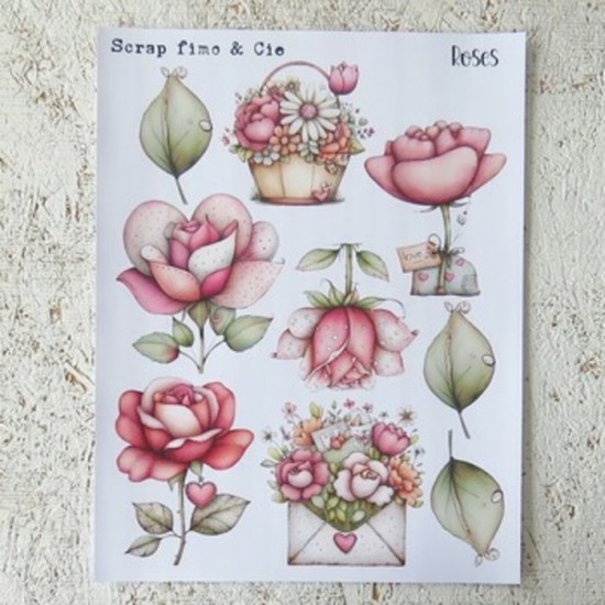 02FEV26PD-Roses
