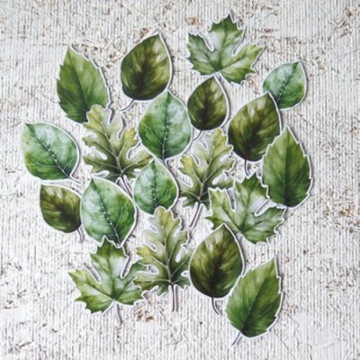 12MA26D- Grandes feuilles vertes