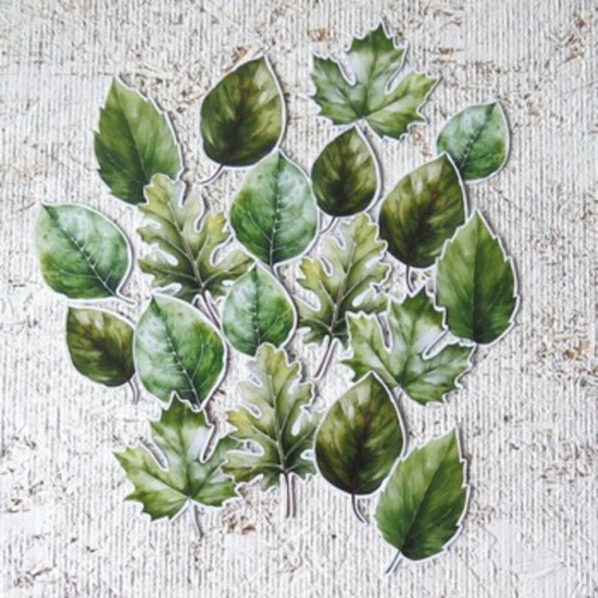 12MA26D- Grandes feuilles vertes