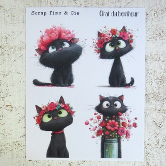 14MAI26PD- Chat du bonheur