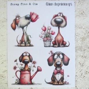 15MAI26PD- Chien du printemps