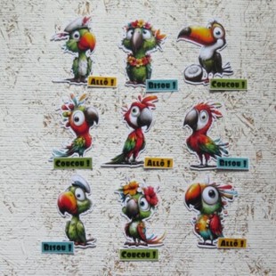 5JN26-ATC- Mini Perroquets