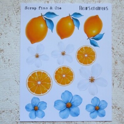 8JN26-PD- Fleurs de citrons