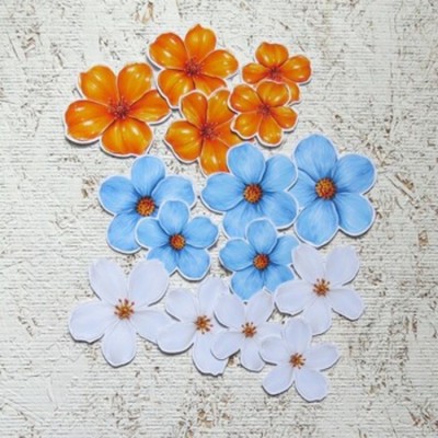 9JN26-D- Fleurs citronnées