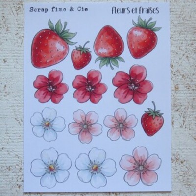 13JN26-PD- Fleurs et Fraises