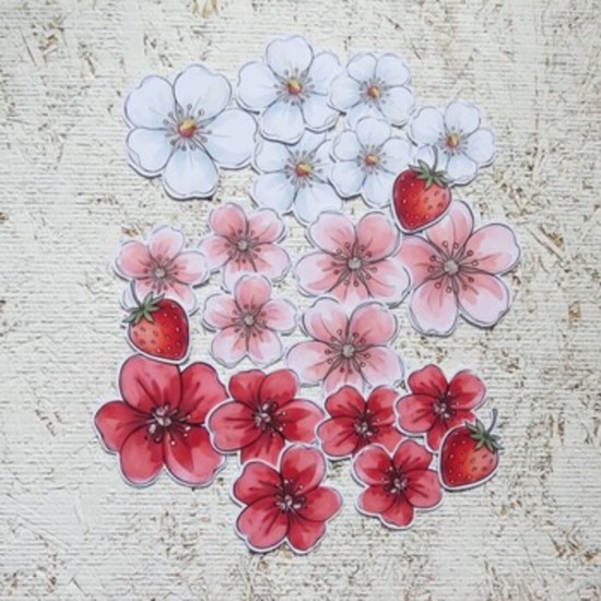 14JN26- D- Fleurs de fraises