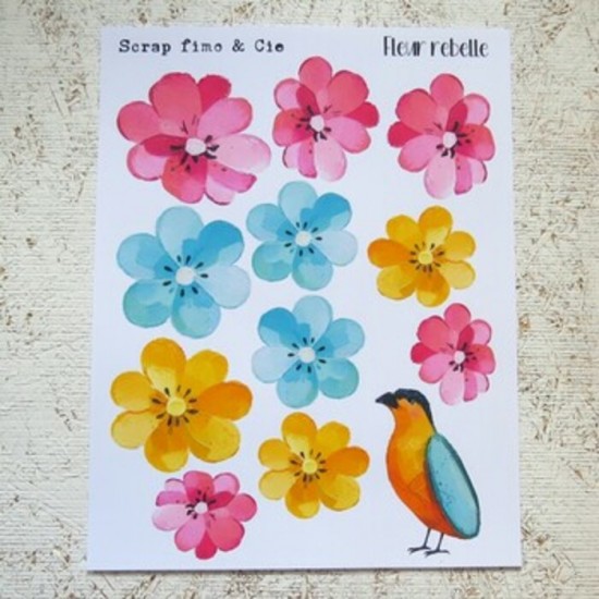 18JN26-PD- Fleurs  rebelle