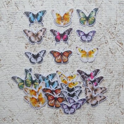 24JN26-D- Petits papillons