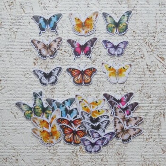 24JN26-D- Petits papillons