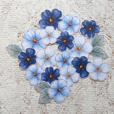 9JL26DC- Fleurs bleue d'été