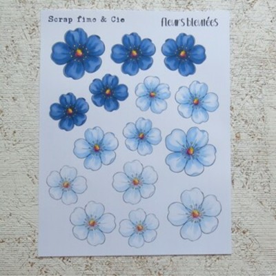 10JL26PD- Fleurs bleutées