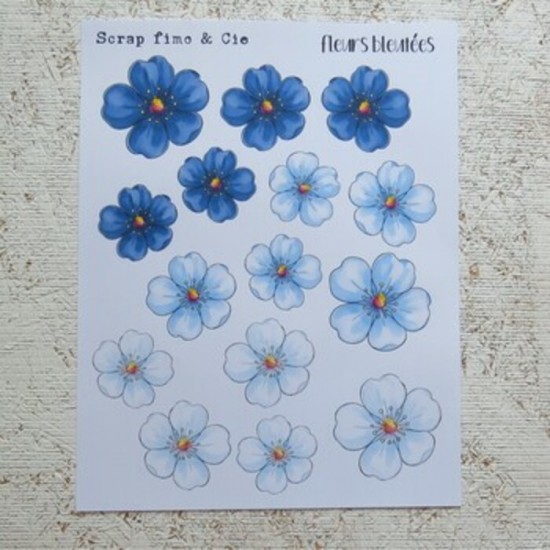 10JL26PD- Fleurs bleutées
