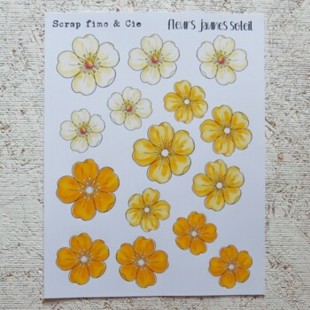 11JL26PD- Fleurs jaune soleil