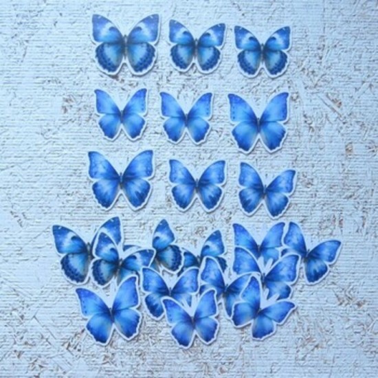 8AU26D- Papillons bleus