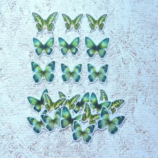 9AU26D- Papillons verts
