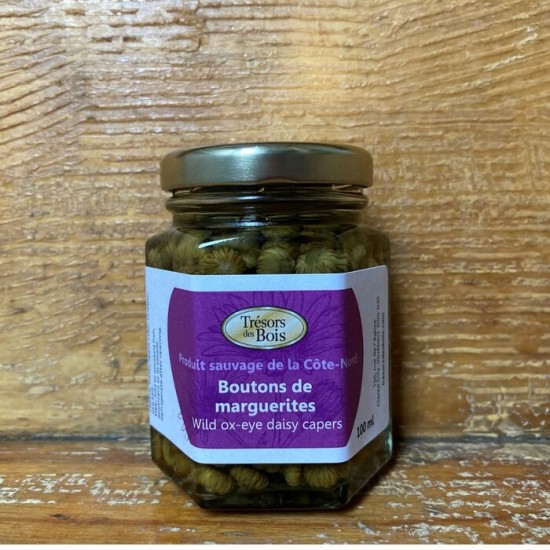 Boutons de marguerite