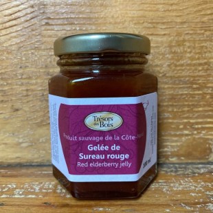 Sureau rouge en gelée