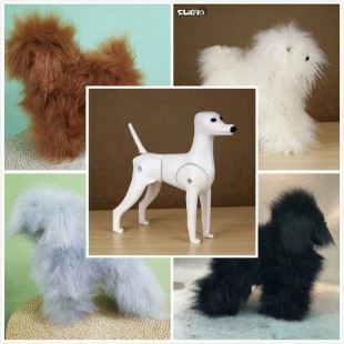 Ensemble Caniche Toy Modeldog et pelisse 