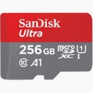 SanDisk Ultra 256Gb carte mémoire pour...
