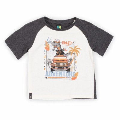 T-shirt gris pour bébé garçon Nanö 