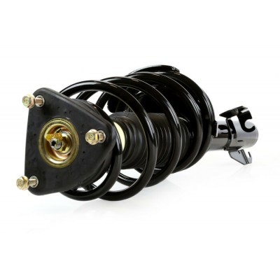 Complete Strut Assemblies