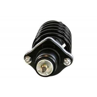 Dodge Chrysler Rear Complete Strut Assembly