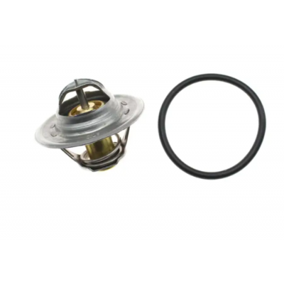 Thermostat 87'C With Seal