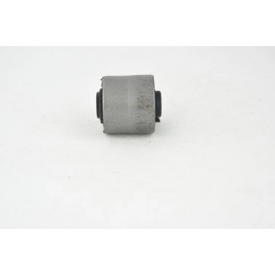 Nissan Juke Rear Differential Arm Bushing